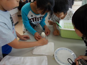 DSCN0265