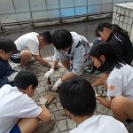 DSCN2178